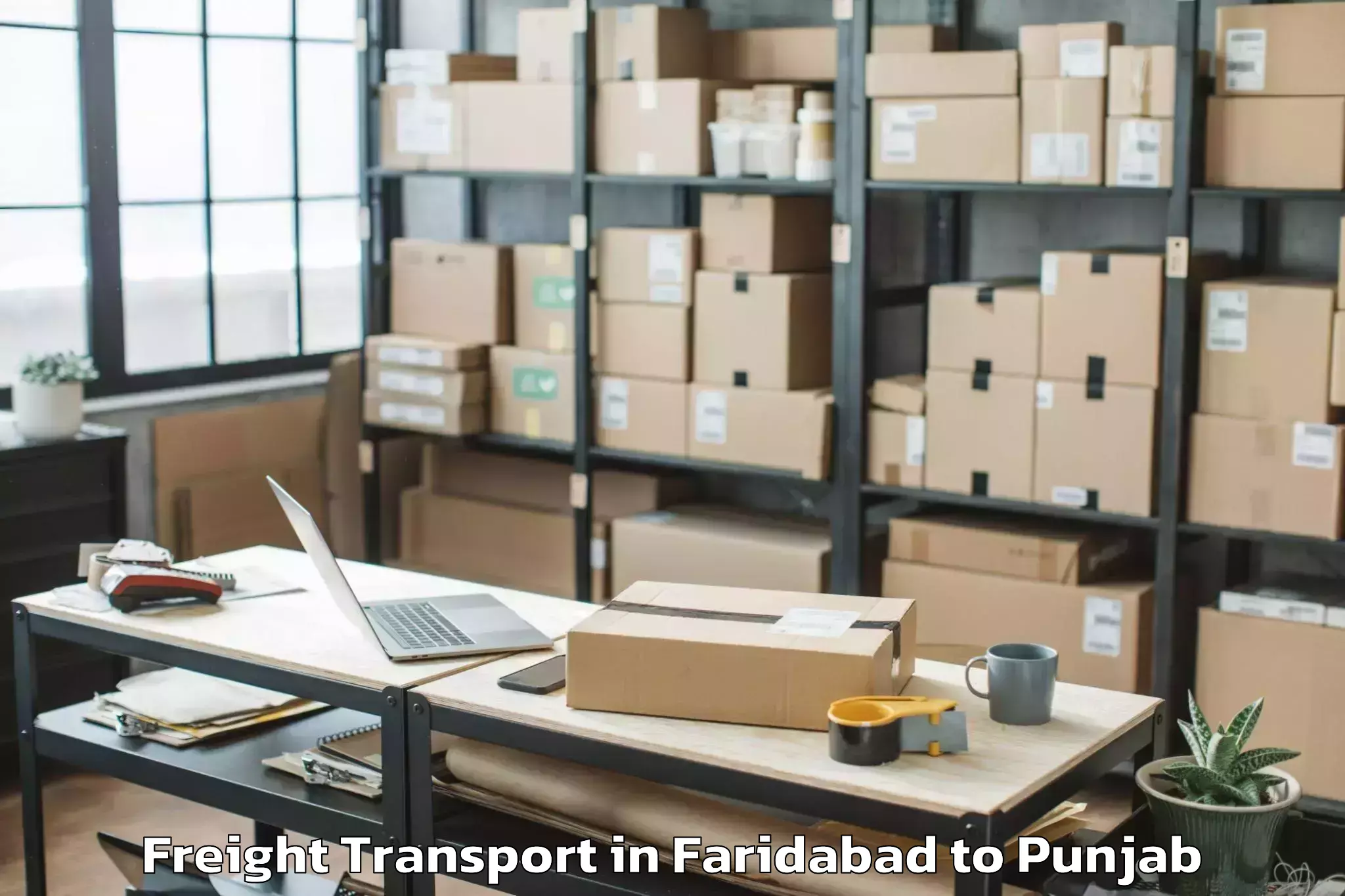 Trusted Faridabad to Zira Freight Transport